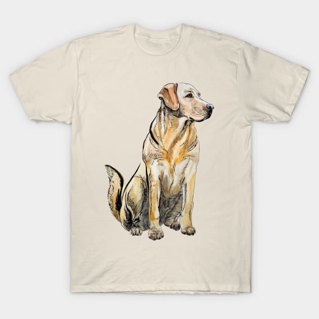 Labrador T-Shirt by VicaVeresk